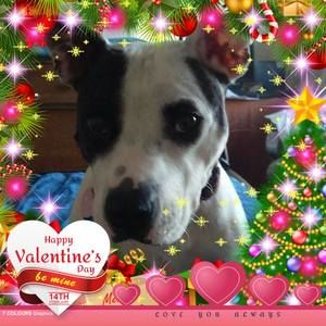 Meet your Posher, Jo-ellen